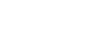 Логотип BESSEC