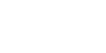 Логотип UDV Group